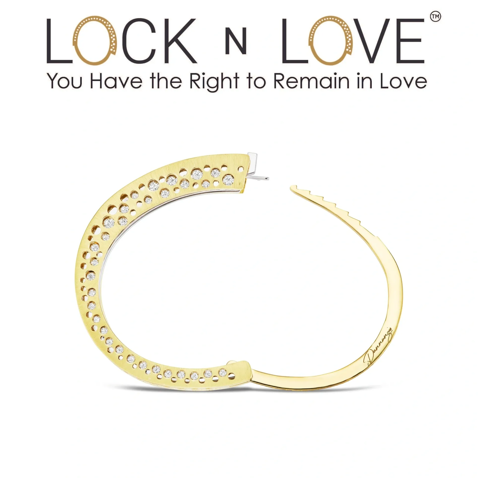 A lock n love logo with the words " you have the right to remain in love ".
